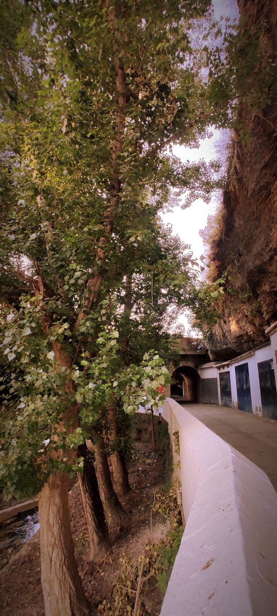 Casa Cueva Las Chicas Del Puente Setenil De Las Bodegas Exterior photo